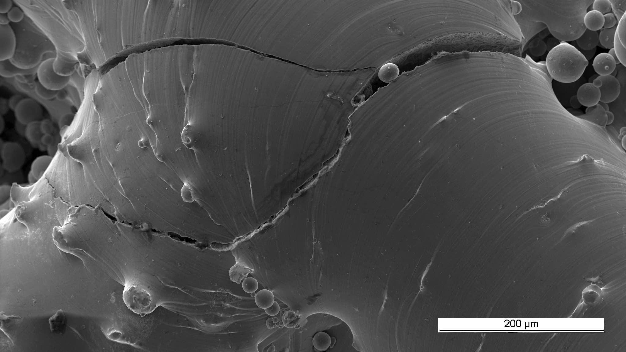 Fig. 2: Detailed SEM-image of the AM-structure with secondary cracks