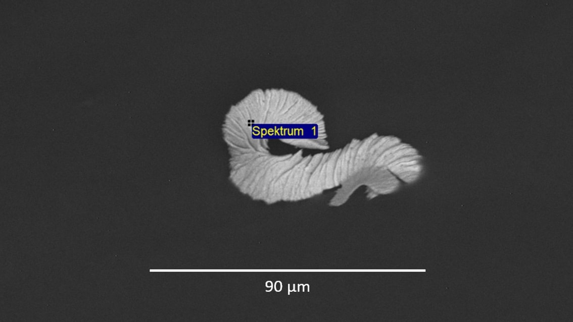 Rasterelektronenmikroskopbild eines Metallflitters aus einem unlegierten Stahl