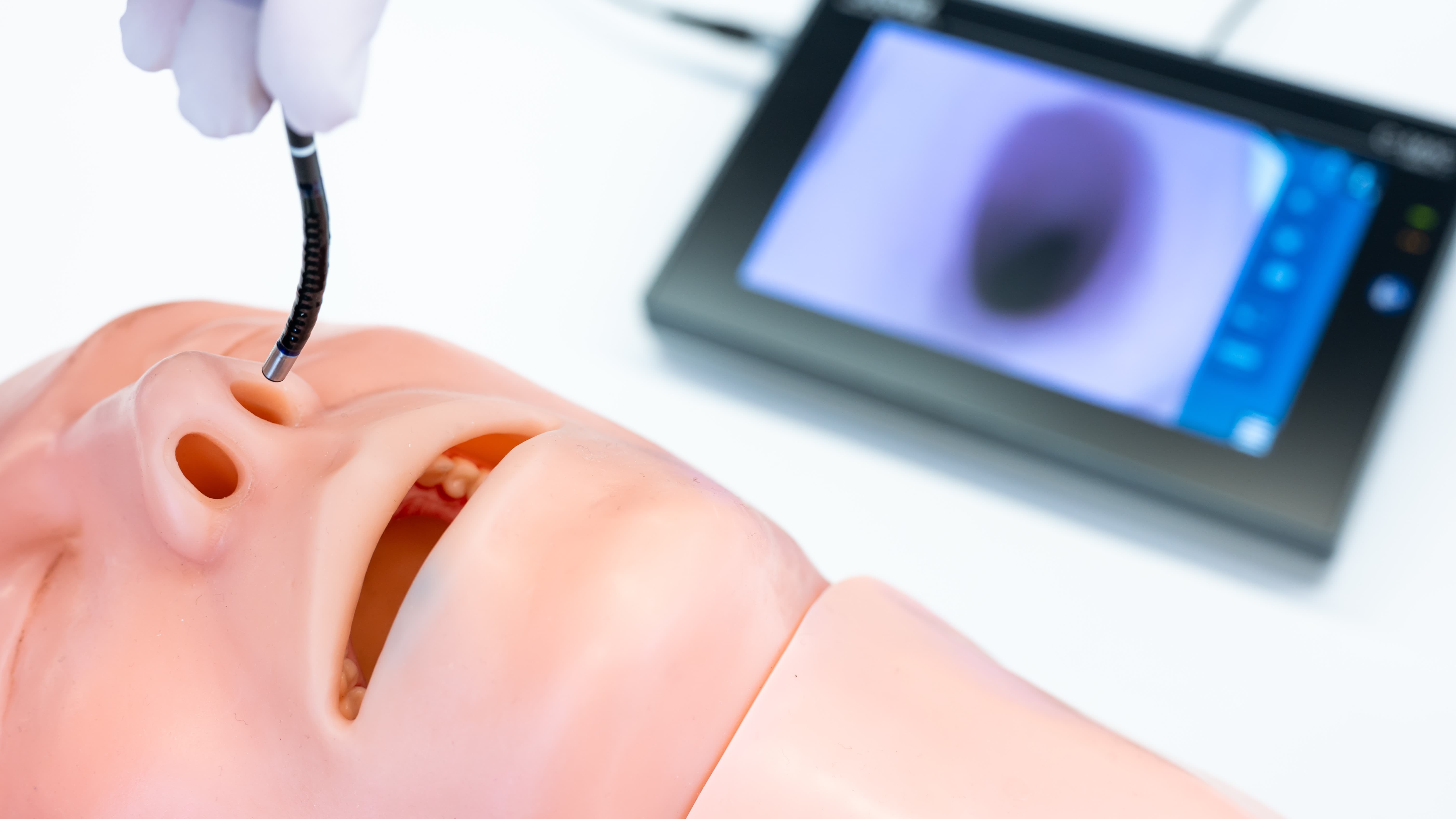Mini-Endoskopkamera mit Anzeigegerät für die HNO-Chirurgie